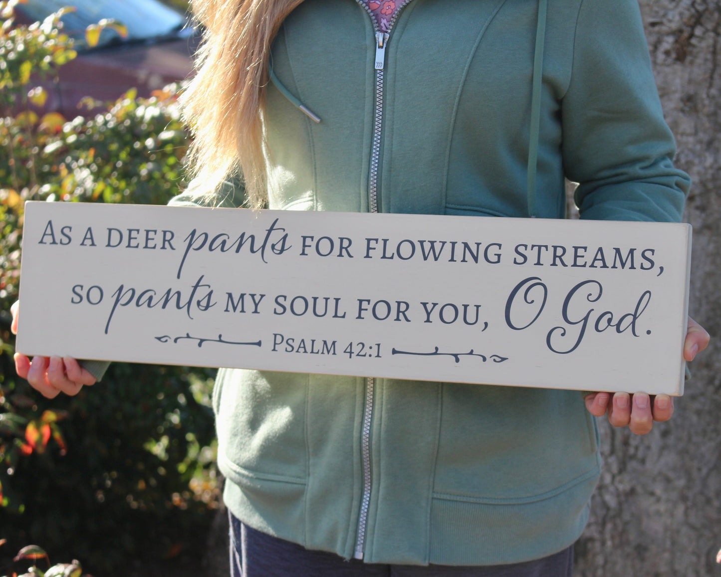 Psalm 42:1 As a Deer Pants For Flowing Streams