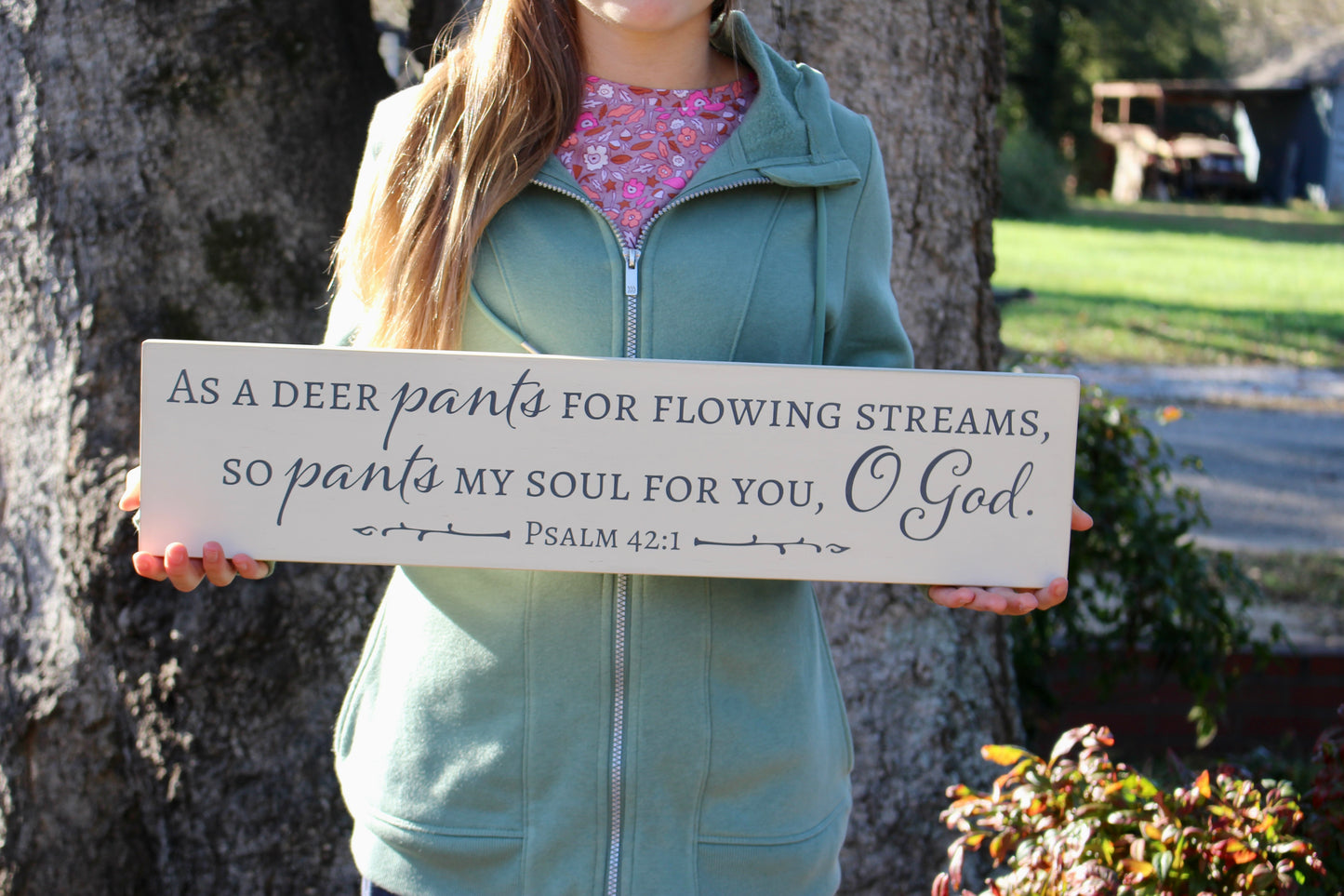 Psalm 42:1 As a Deer Pants For Flowing Streams